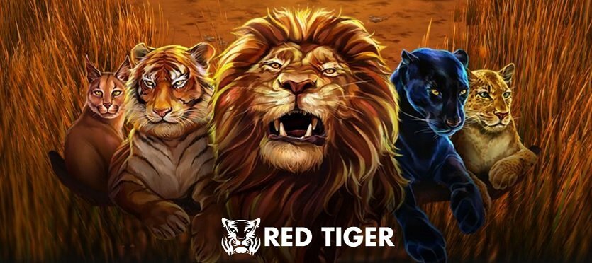 wild cats